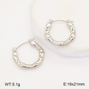 2E2006299aajl-656  Stainless Steel Earrings