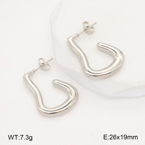 2E2006300aajl-656  Stainless Steel Earrings