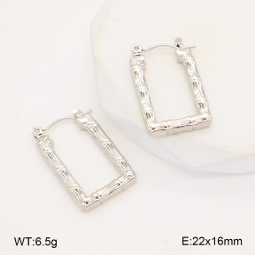 2E2006301aajl-656  Stainless Steel Earrings