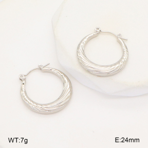 2E2006302aajl-656  Stainless Steel Earrings