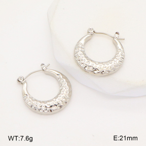 2E2006303aajl-656  Stainless Steel Earrings