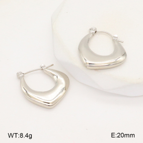 2E2006304aajl-656  Stainless Steel Earrings