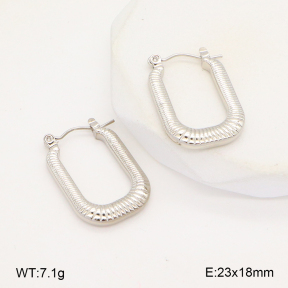 2E2006305aajl-656  Stainless Steel Earrings