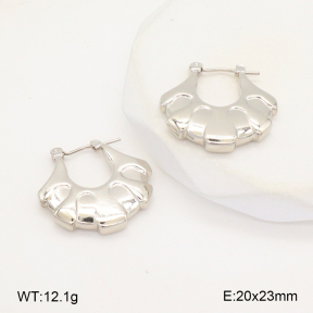 2E2006306baka-656  Stainless Steel Earrings