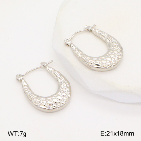 2E2006307baka-656  Stainless Steel Earrings