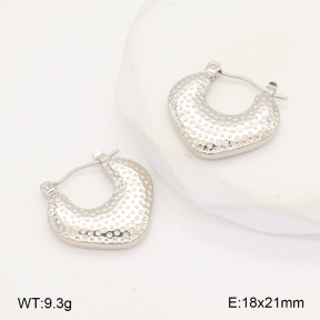 2E2006308baka-656  Stainless Steel Earrings