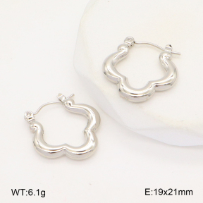 2E2006309baka-656  Stainless Steel Earrings