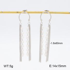 2E3003671bhva-628  Stainless Steel Earrings