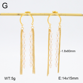 2E3003672bhia-628  Stainless Steel Earrings