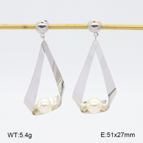2E3003673bhva-628  Stainless Steel Earrings