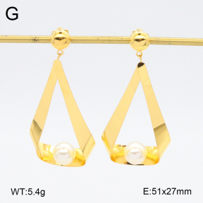 2E3003674bhva-628  Stainless Steel Earrings