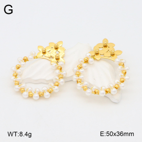 2E3003675bhia-628  Stainless Steel Earrings