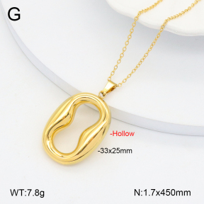 2N2006347abol-742  Stainless Steel Necklace