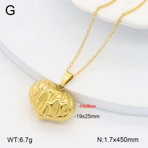 2N2006348abol-742  Stainless Steel Necklace