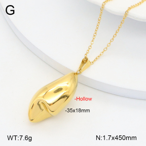 2N2006350abol-742  Stainless Steel Necklace