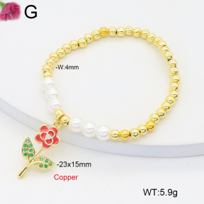 F2B301232vbmb-J81  Fashion Copper Bracelet