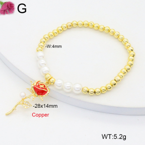 F2B301238vbmb-J81  Fashion Copper Bracelet