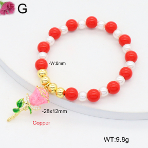 F2B301275vbmb-J81  Fashion Copper Bracelet