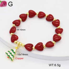 F2B301303vbmb-J81  Fashion Copper Bracelet