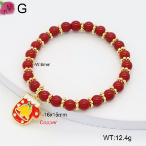 F2B301311vbmb-J81  Fashion Copper Bracelet