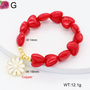 F2B301325vbmb-J81  Fashion Copper Bracelet