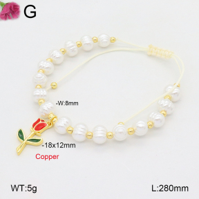 F2B301362vbmb-J81  Fashion Copper Bracelet