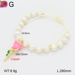 F2B301364vbmb-J81  Fashion Copper Bracelet