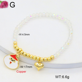 F2B402500vbmb-J81  Fashion Copper Bracelet