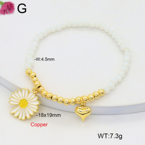 F2B402512vbmb-J81  Fashion Copper Bracelet