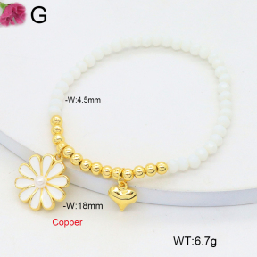 F2B402513vbmb-J81  Fashion Copper Bracelet