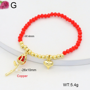 F2B402518vbmb-J81  Fashion Copper Bracelet