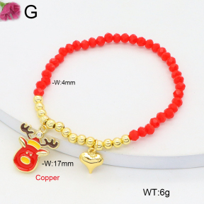 F2B402519vbmb-J81  Fashion Copper Bracelet