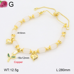 F2B402551vbmb-J81  Fashion Copper Bracelet