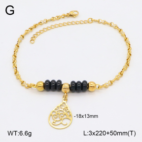 2A9001715ablb-350  Stainless Steel Anklets