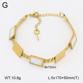 2B3004146bblo-698  Stainless Steel Bracelet