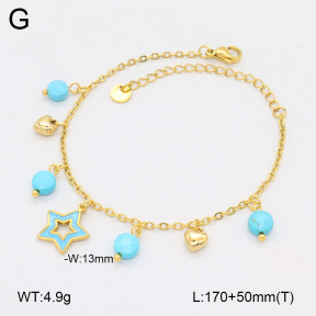 2B4005092vhhl-669  Stainless Steel Bracelet