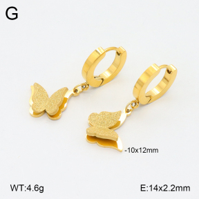 2E2006269vbnl-743  Stainless Steel Earrings