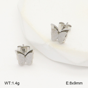 2E2006270aakl-743  Stainless Steel Earrings