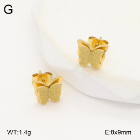 2E2006271vbll-743  Stainless Steel Earrings