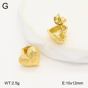 2E2006272vbmb-743  Stainless Steel Earrings