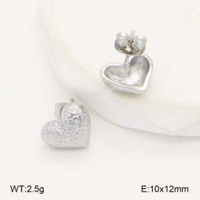 2E2006273vbll-743  Stainless Steel Earrings