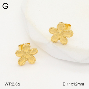 2E2006274vbmb-743  Stainless Steel Earrings