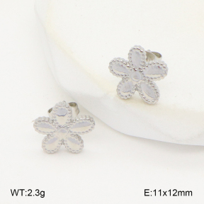 2E2006275vbll-743  Stainless Steel Earrings