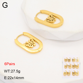 2E2006310ajpa-256  Stainless Steel Earrings