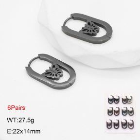 2E2006312ajpa-256  Stainless Steel Earrings