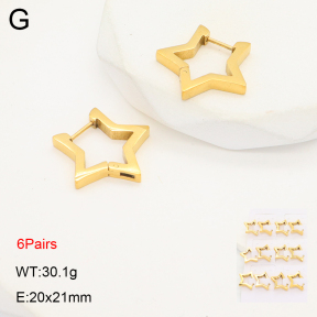 2E2006313ajma-256  Stainless Steel Earrings