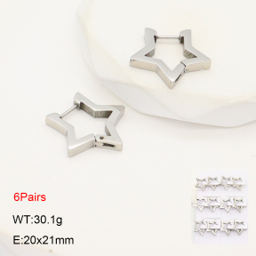 2E2006314bjja-256  Stainless Steel Earrings