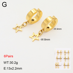 2E2006316ajpa-256  Stainless Steel Earrings