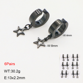 2E2006318ajpa-256  Stainless Steel Earrings