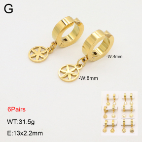 2E2006319ajpa-256  Stainless Steel Earrings